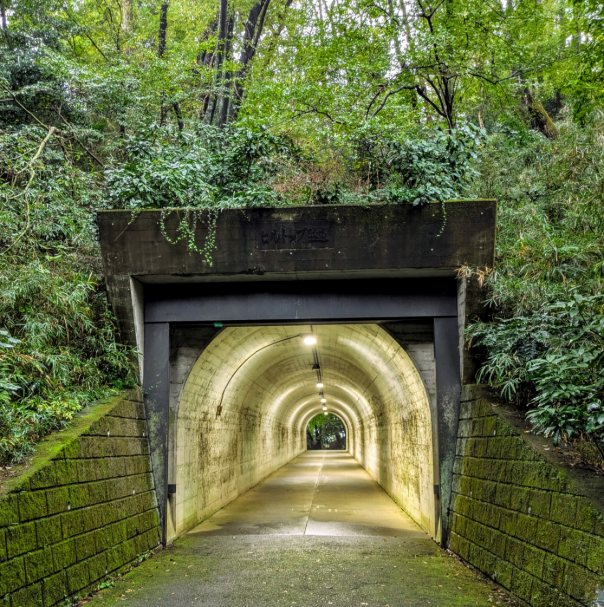 ファイル 1073-3.jpg