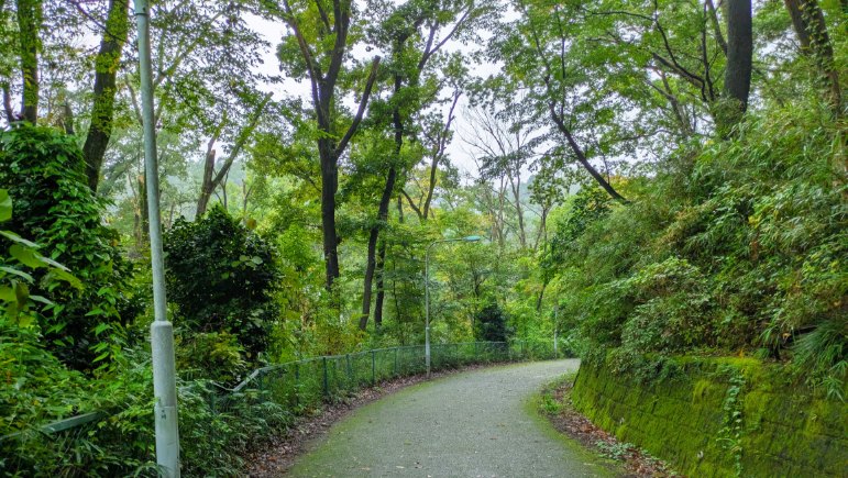 ファイル 1073-4.jpg